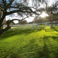 Durables 3-Rail Vinyl Ranch Rail Horse Fence with 7' Posts (White) - Priced Per Foot