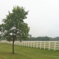 Durables 4-Rail Vinyl Ranch Rail Horse Fence with 8' Posts (White) - Priced Per Foot
